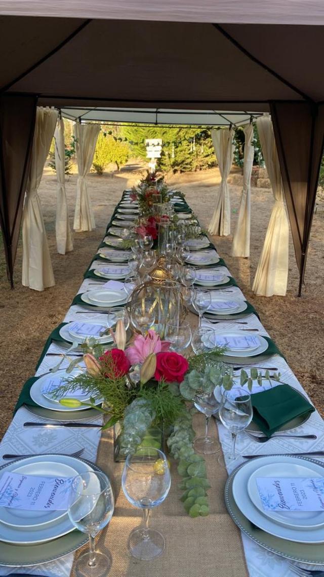 Crockery Rental - 1