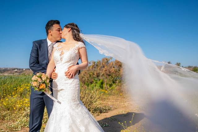 Maxvisual Weddings 2