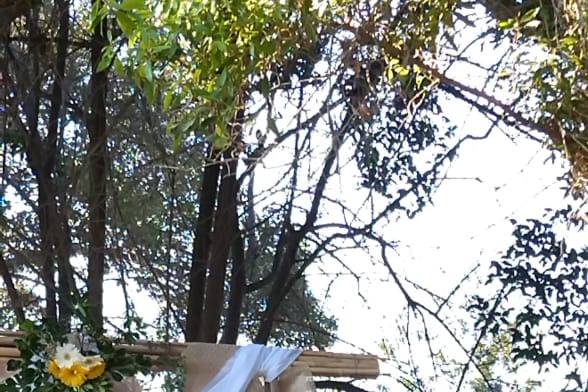 Contexto Ceremonias 1