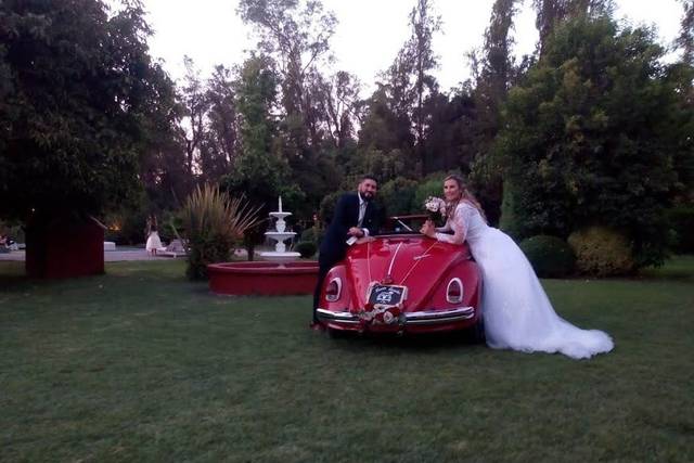 Eventos Escarabajo 4