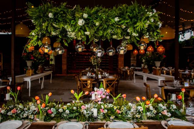 Bracco Eventos 2
