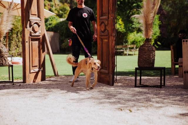 Seba Petsitter 2