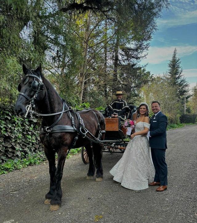 Coche de Caballo - 2