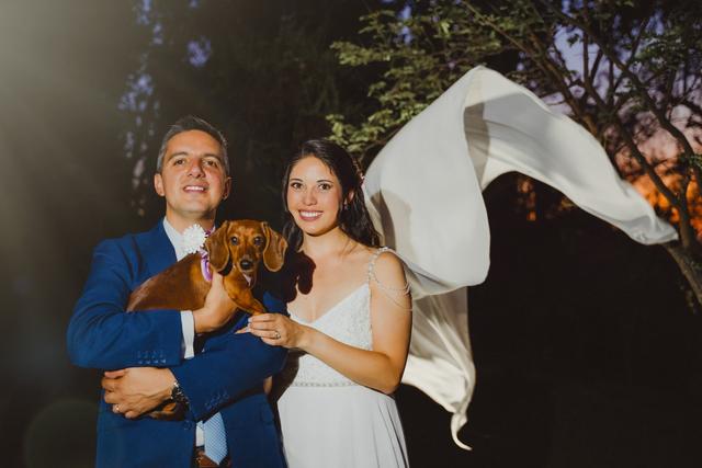 Doggossitter - Servicios caninos - 1