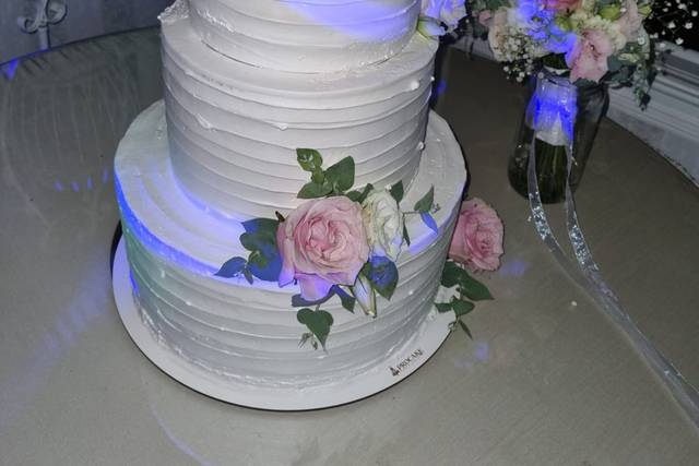 ProCake 3