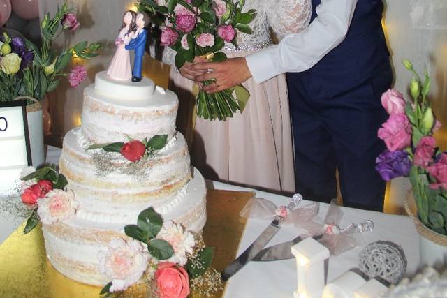 Novias Paulina Colil Abricot 5