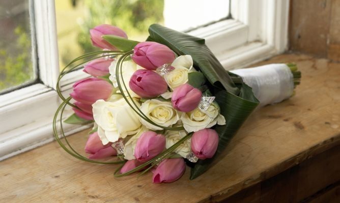 tulipanes y rosas