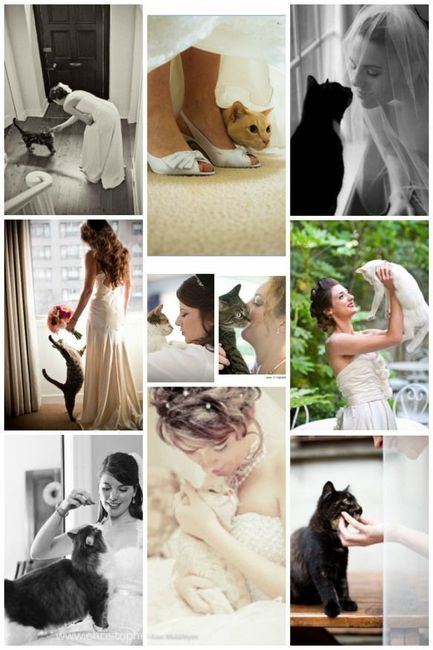 Más fotos de la novia con su gat@