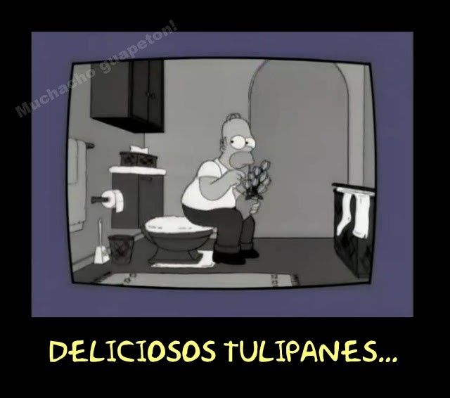 mmmmm deliciosos..tulipanes ñam ñam