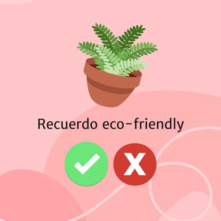 Recuerdos eco-friendly: ¿SI o NO? - 1