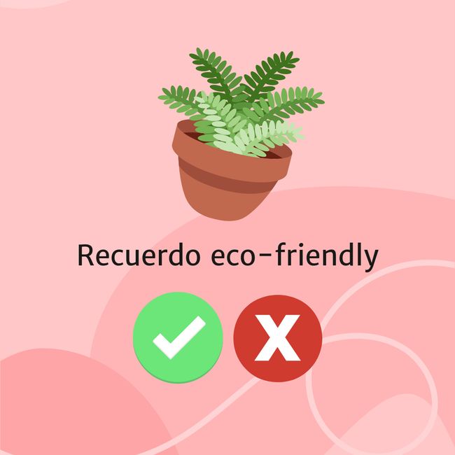 Recuerdos eco-friendly: ¿SI o NO? 1