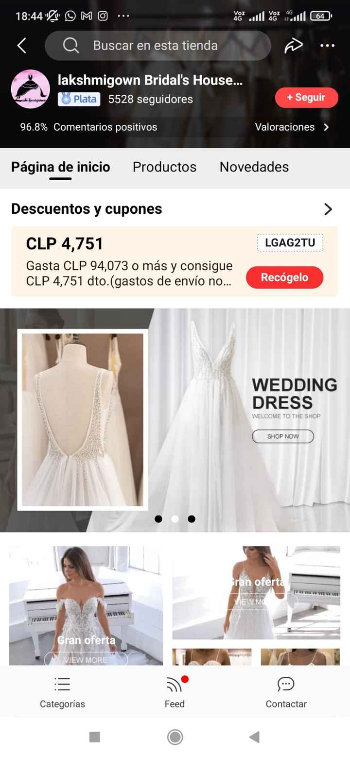 Llegó mi vestido! - 1