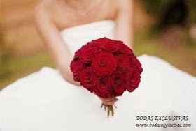 Para las que aman las rosas rojas&#127801;&#127801; - 1