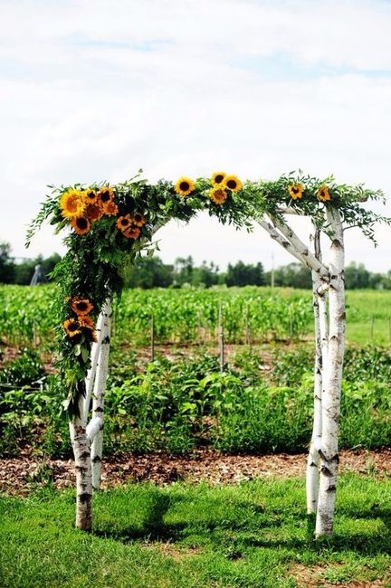 Matrimonio con girasoles: Arco de flores