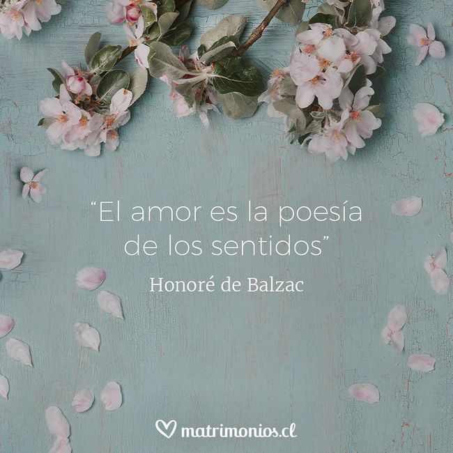 4 frases de amor, ¡elige la que te represente! 💖 2