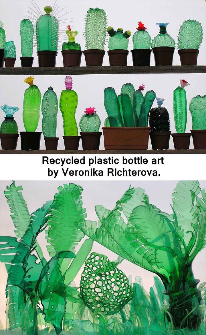 Cactus de plástico