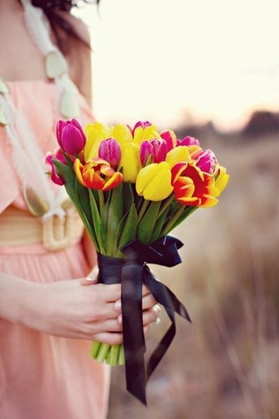 Mis favoritas, tulipanes ❤