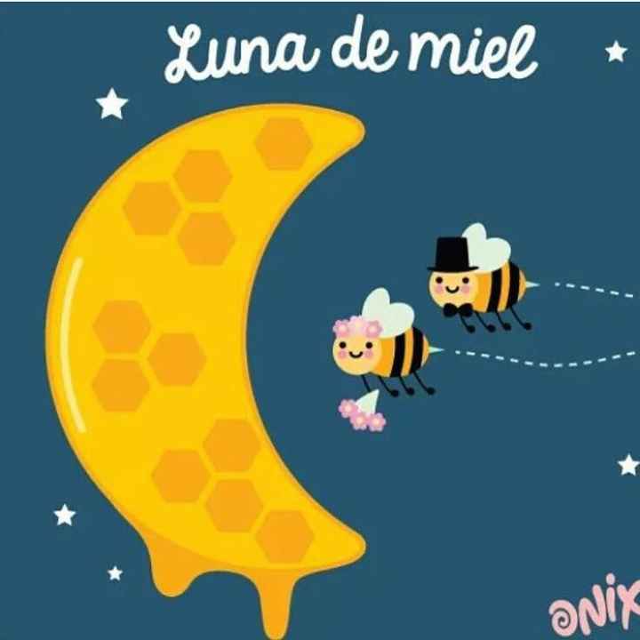 Luna de miel - 1
