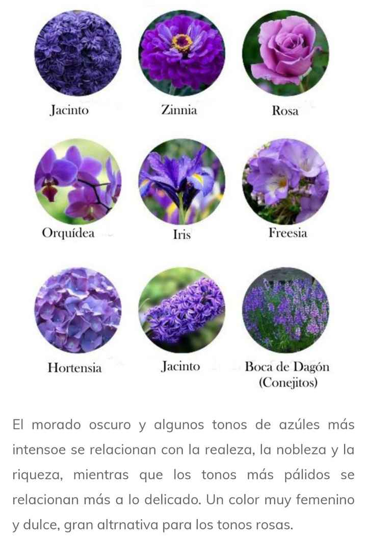 Flores por color - 9