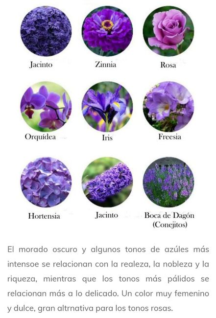 Flores por color 9