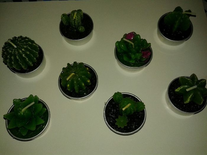 Recuerditos- souvenir (velitas cactus) - 8
