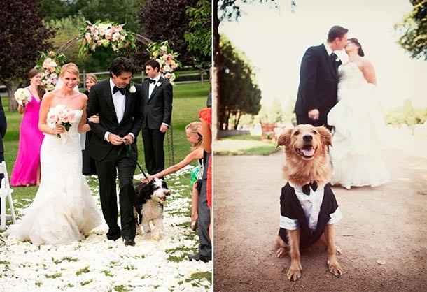 ¿Llevarás a tu mascota al matrimonio?