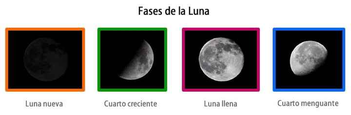 Fases de la luna