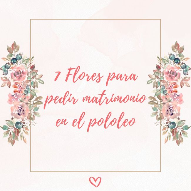 7 Tipos de flores para pedir matrimonio en el pololeo 1
