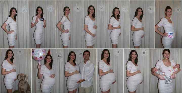 secuencia embarazo