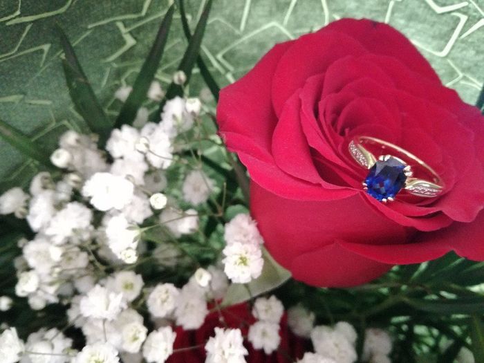 Usarían algún anillo con piedra azul o roja? 1