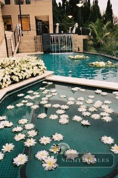 decoracion de piscina