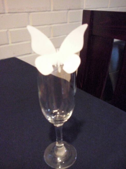 mariposa