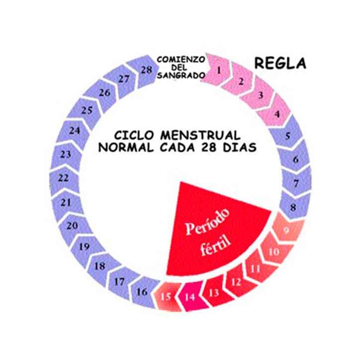 Menstruacion en el Gran Dia - 2