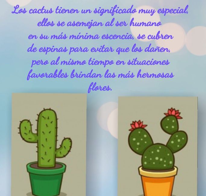 Secretario acuerdo Geografía El significado de regalar cactus y suculentas