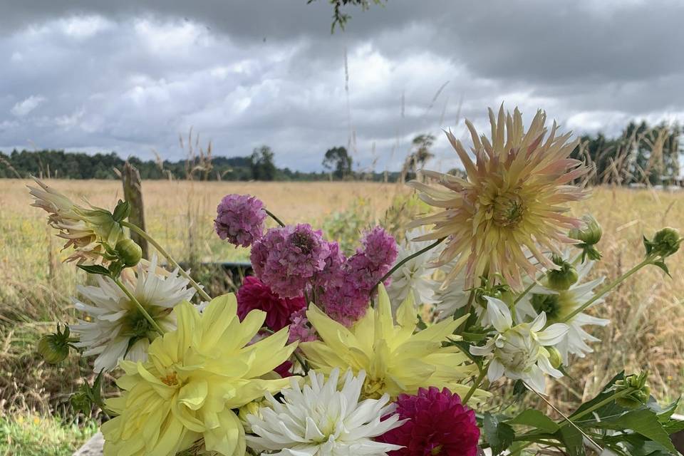 Dalias verano florero opalina