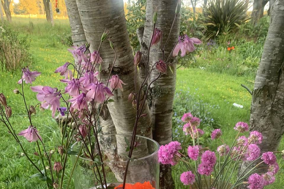 Primavera y flor de loto