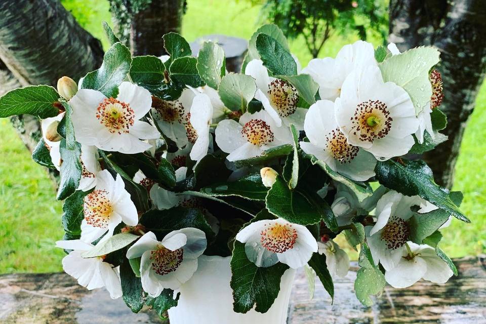 Ulmos florero opalina Blanca