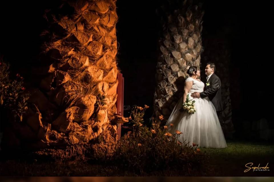 Foto en palmeras