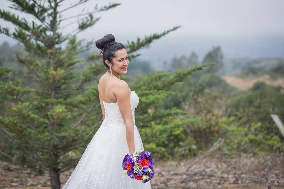 Fotos novia