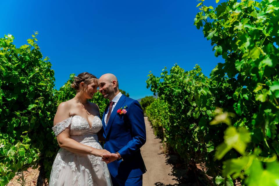 Matrimonio en una viña