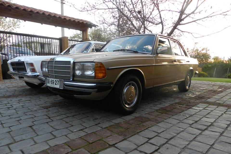 Mercedes Benz 250 (W123) 1983