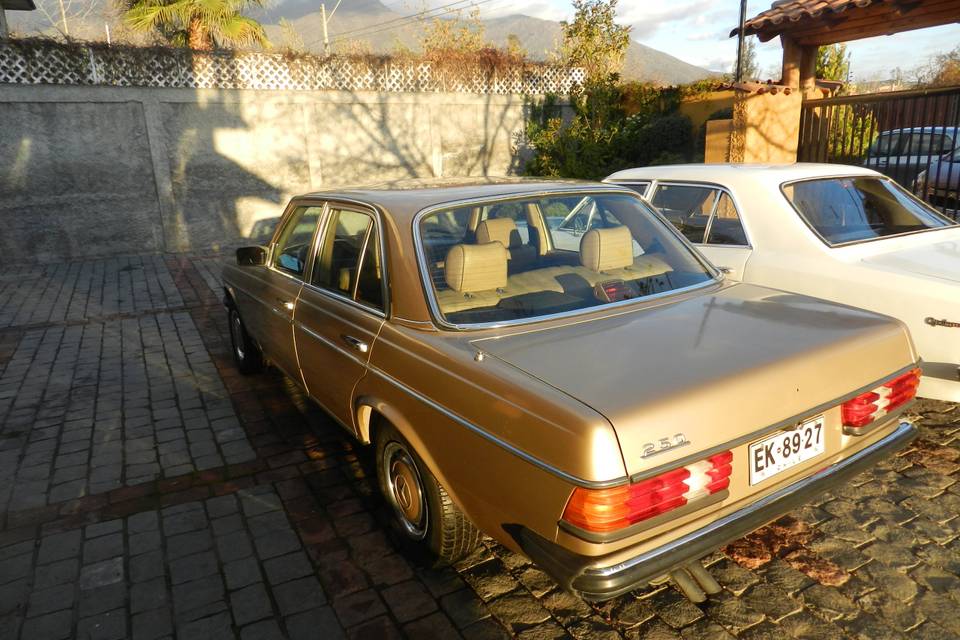 Mercedes Benz 250 (W123) 1983