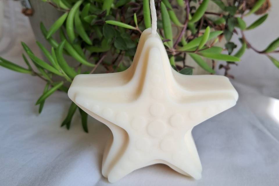 Estrella de mar