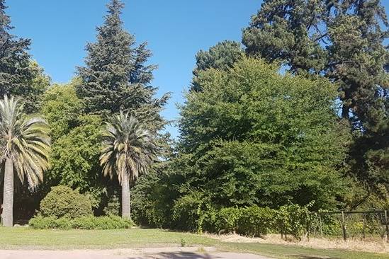 Panorámica estacionamiento