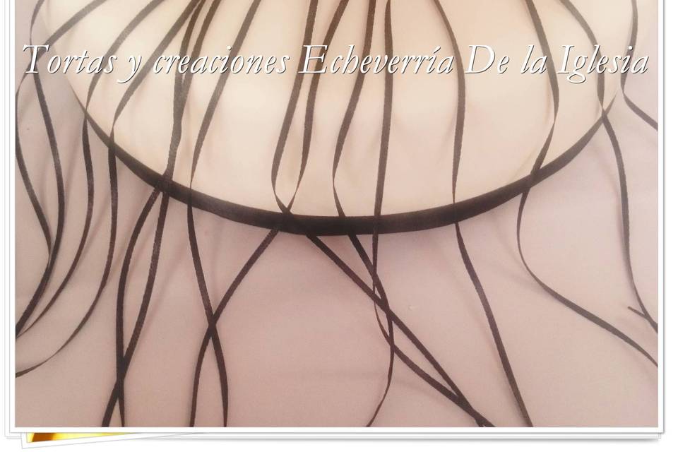 Variedad de diseños