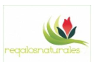 Logo Recuerdos Naturales