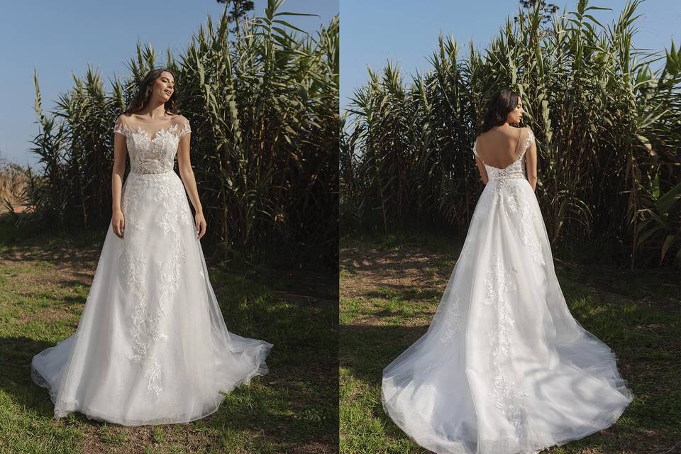 Novia Belle