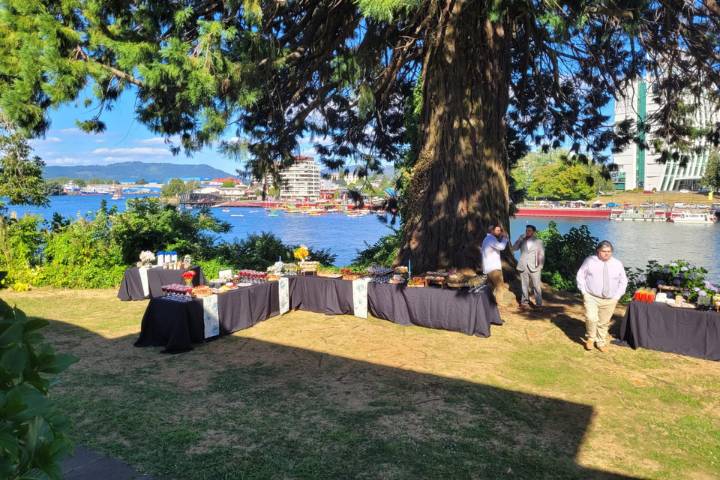 Valdivia