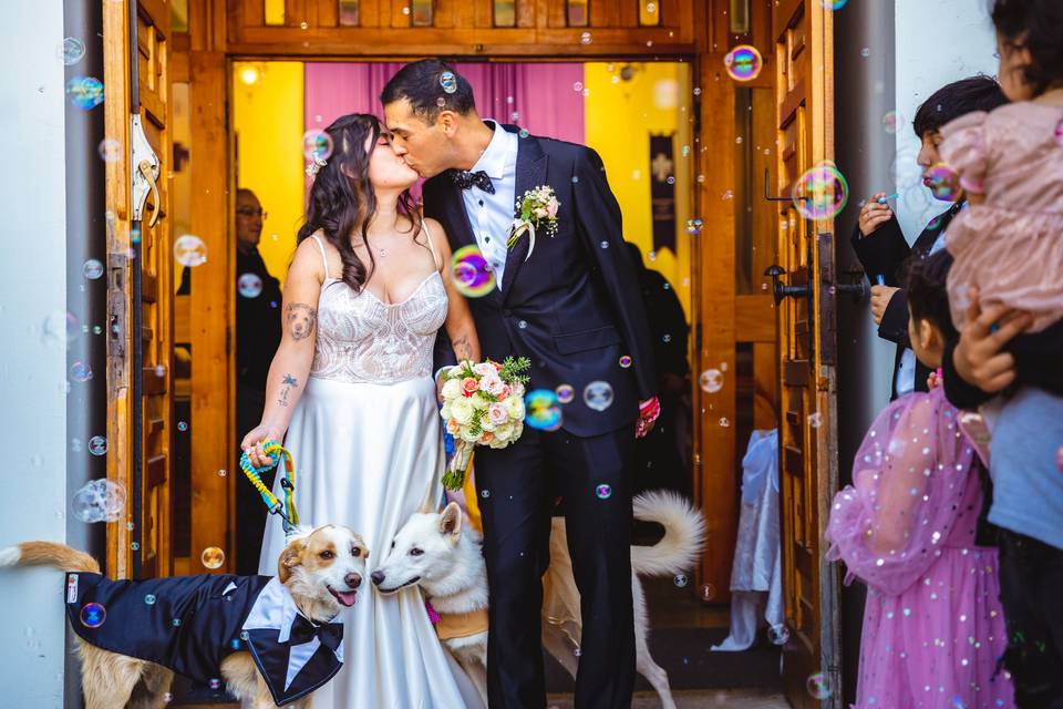 Recién casados con perros