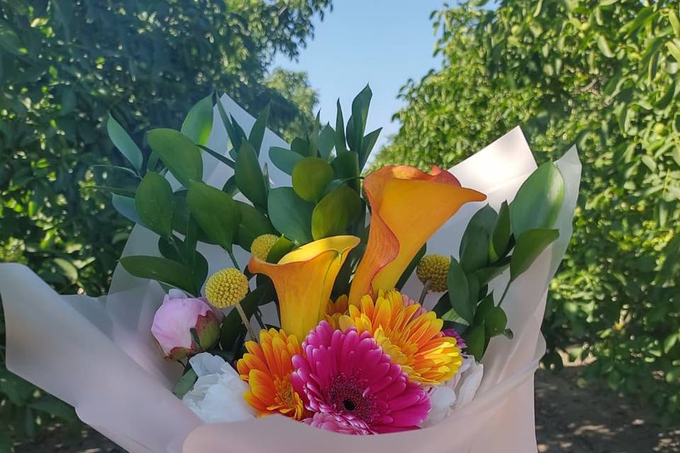 Florería Give Flowers